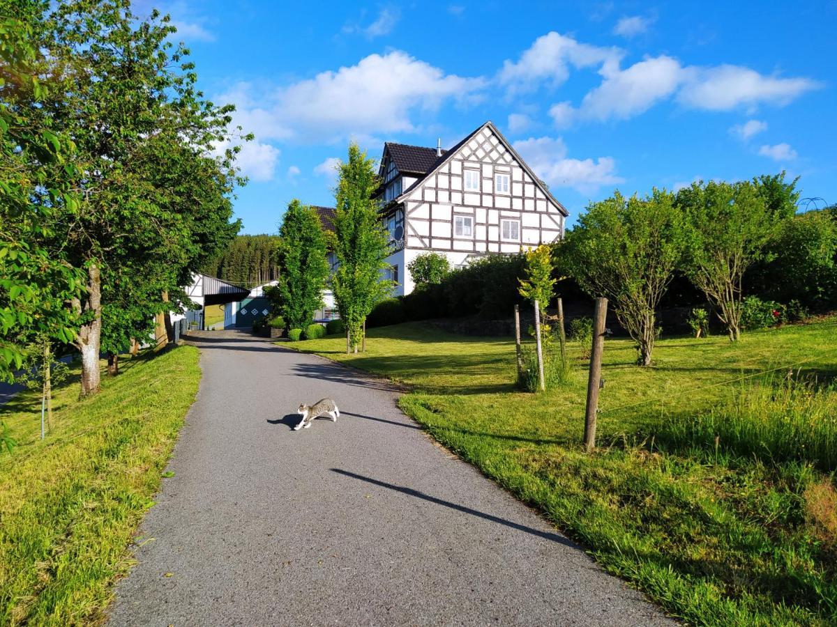 Kleine Auszeit Lägenhet Eslohe Exteriör bild