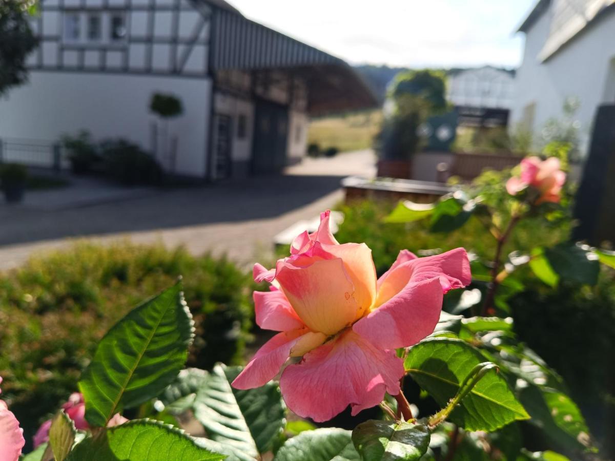 Kleine Auszeit Lägenhet Eslohe Exteriör bild